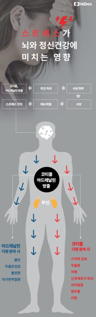 재정적 스트레스의 정신건강에 미치는 영향